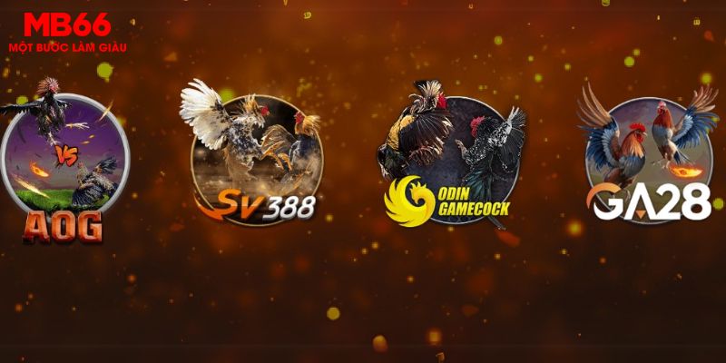 Đá Gà MB66 1 Các đối tác tại Đá Gà MB66