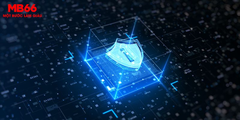 Cam kết không chia sẻ thông tin cho bên thứ 3 tại MB66